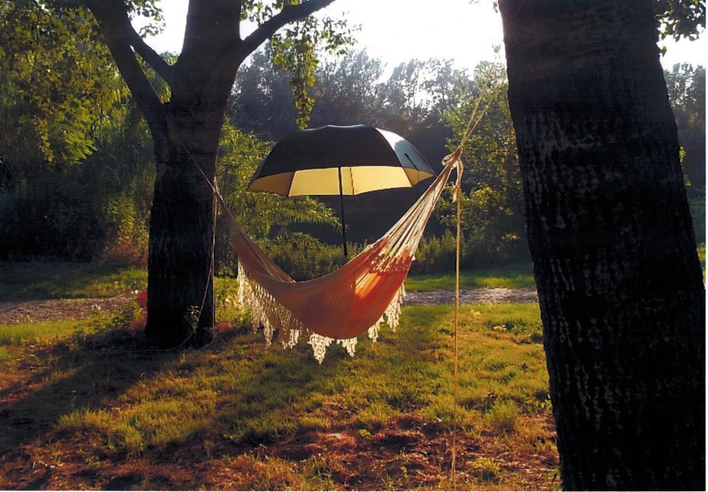 מונטפריון Camping Paradis Bellerive מראה חיצוני תמונה