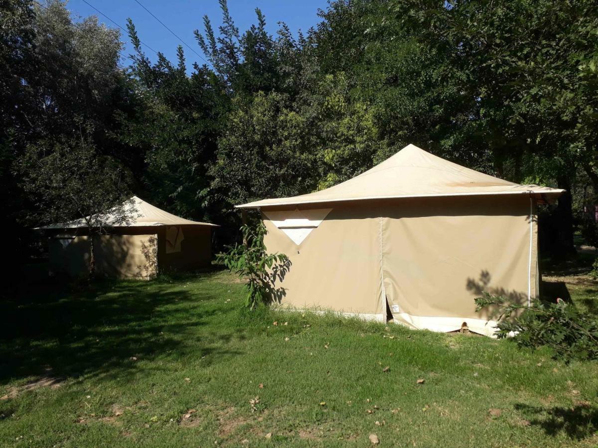מונטפריון Camping Paradis Bellerive מראה חיצוני תמונה